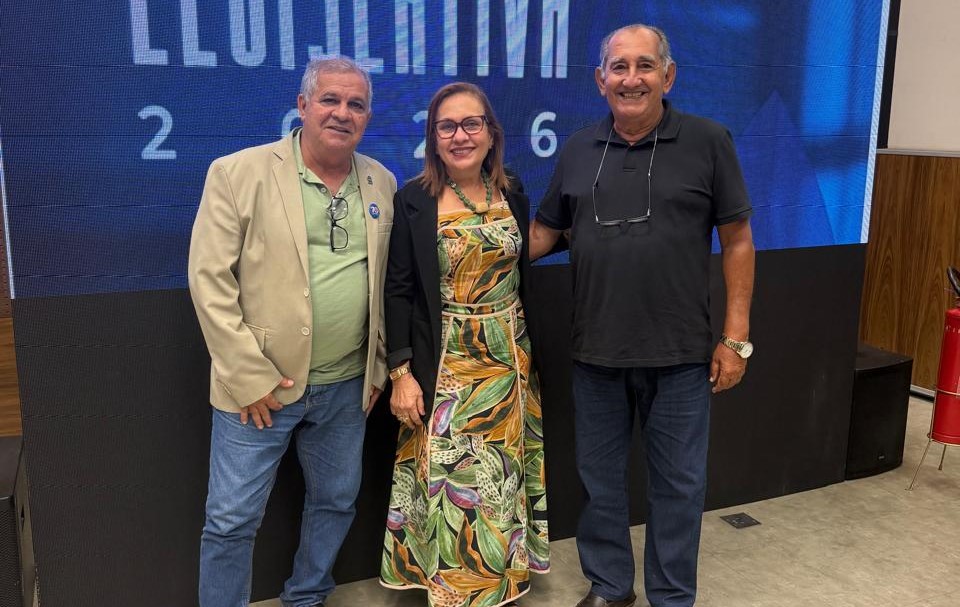 CRQ 7 MARCA PRESENÇA NA ELABORAÇÃO DA AGENDA LEGISLATIVA DO CFQ, EM BRASÍLIA